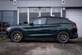 Alfa Romeo Stelvio 2.0T Q4 280pk AWD Veloce I Racing-Green I Panorama Groen - thumbnail 17