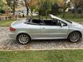 Peugeot 307 2.0i XSi Plateado - thumbnail 6