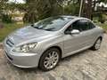 Peugeot 307 2.0i XSi Plateado - thumbnail 1