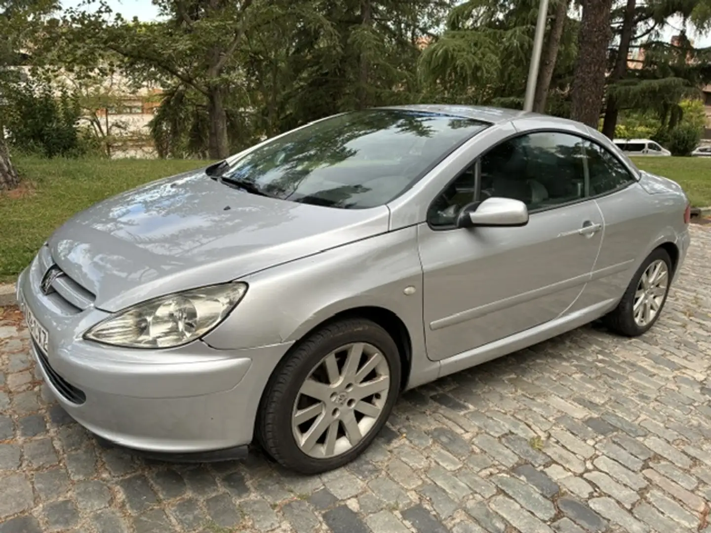 Peugeot 307 2.0i XSi Plateado - 1
