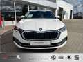 Skoda Octavia Combi 2.0 TDI Style PANO*NAVI*LED*HeadUP Белый - thumbnail 3