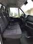 Iveco Daily Blanc - thumbnail 6