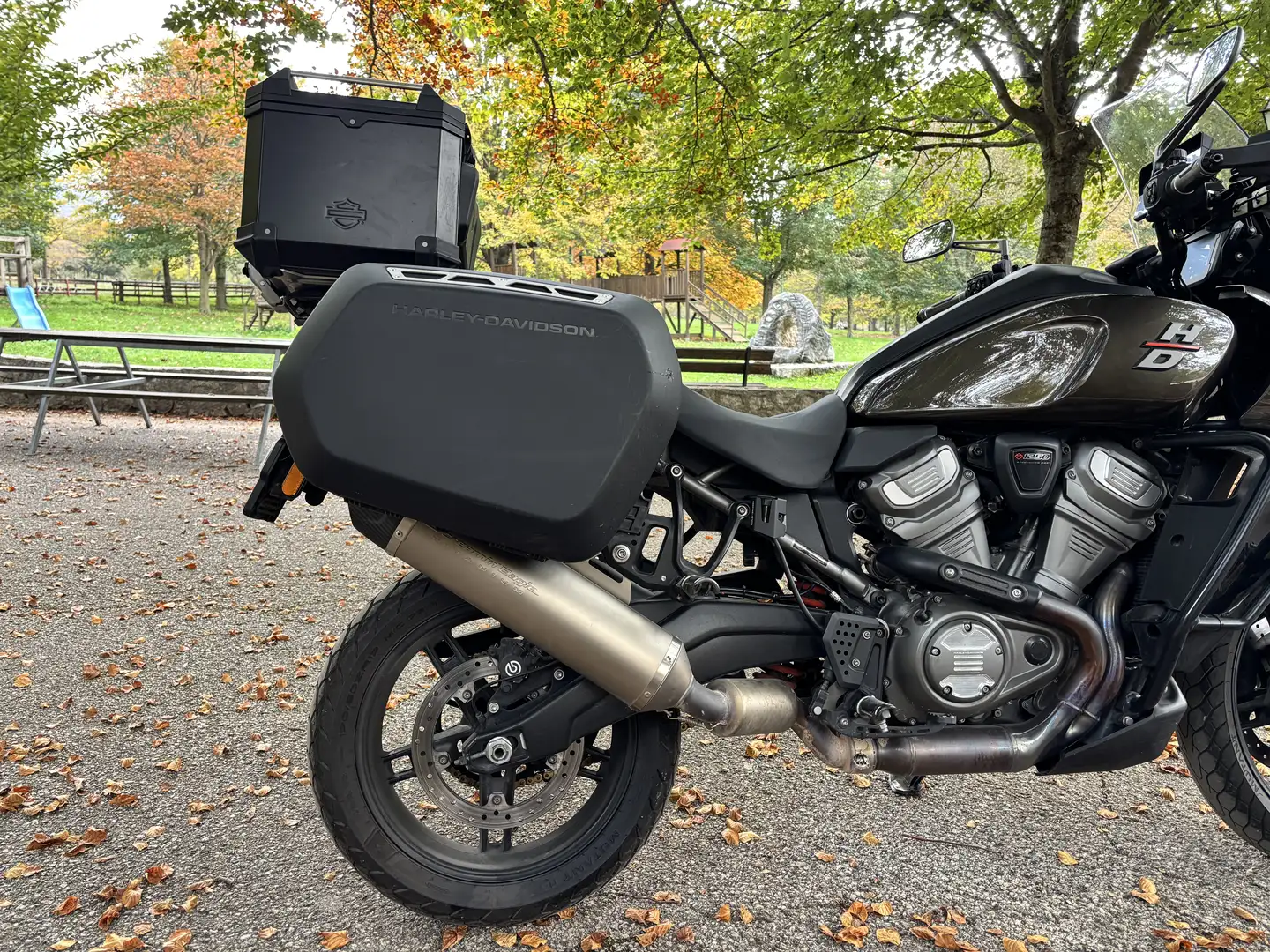 Harley-Davidson Pan America Standard Vert - 1