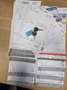 Kia Shuma 1.6-16V LS 5DRS AIRCO TREKHAAK LMV Grün - thumbnail 11