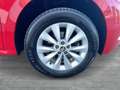 Skoda Kamiq Active TSI Rot - thumbnail 6