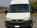 Fiat Ducato L2-H2 METANO BENZINA Bianco - thumbnail 1