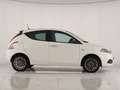 Lancia Ypsilon 1.0 FireFly Hybrid Gold Bianco - thumbnail 4