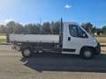 Fiat Ducato 33 2.3 MJT 130CV CASSONE RIBALTABILE TRILATERALE Bianco - thumbnail 4