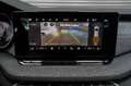Skoda Octavia Combi Kombi 1,5 TSI mHEV DSG Selection - LAGER ... Grau - thumbnail 14