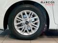 Kia Picanto 1.2 DPi GT-Line Blanco - thumbnail 11