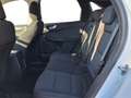 Ford Kuga COOL + CONNECT Wit - thumbnail 17