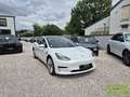 Tesla Model 3 Standard RWD Plus MY22 1 ERE MAIN Blanco - thumbnail 3