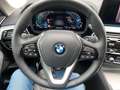 BMW 530 e Luxury Line/360°Kamera/TV-Funkt/UPE87.950€ Blau - thumbnail 20