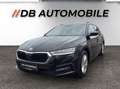Skoda Octavia Combi 2,0 TDI Business Schwarz - thumbnail 1