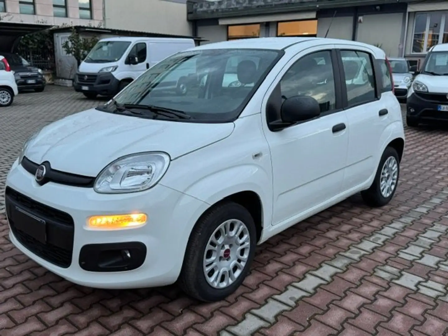 Fiat New Panda 1.2  S.&S. E6D-TEMP EASY 5 POSTI GUIDABILE NEOPA Alb - 1