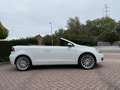 Volkswagen Golf Cabriolet 1.6 CR TDi Blanc - thumbnail 6