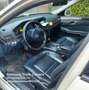 Mercedes-Benz E 200 E 200 T CDI DPF BlueEFFICIENCY 7G-TRONIC Elegance Amarillo - thumbnail 3