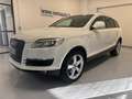 Audi Q7 3.0 V6 TDI 240 CV quattro Advanced Plus S-LINE Blanc - thumbnail 1