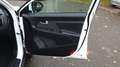 Kia Sportage 2.0 CRDI 136 4WD BVA Active - Automatique Blanc - thumbnail 22