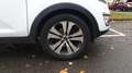 Kia Sportage 2.0 CRDI 136 4WD BVA Active - Automatique Blanc - thumbnail 17