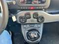 Fiat Panda Panda 1.0 firefly hybrid City Life s Noir - thumbnail 10