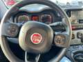 Fiat Panda Panda 1.0 firefly hybrid City Life s Noir - thumbnail 12