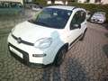 Fiat Panda Panda III 2021 1.0 firefly hybrid City Life s Weiß - thumbnail 1