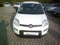 Fiat Panda Panda III 2021 1.0 firefly hybrid City Life s Blanco - thumbnail 2