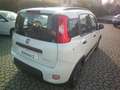 Fiat Panda Panda III 2021 1.0 firefly hybrid City Life s Weiß - thumbnail 6