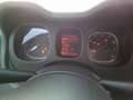 Fiat Panda Panda III 2021 1.0 firefly hybrid City Life s Wit - thumbnail 13