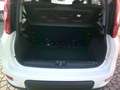 Fiat Panda Panda III 2021 1.0 firefly hybrid City Life s Weiß - thumbnail 22