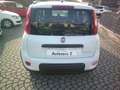 Fiat Panda Panda III 2021 1.0 firefly hybrid City Life s Wit - thumbnail 5