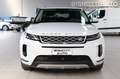 Land Rover Range Rover Evoque 2.0D I4 163 CV AWD Auto S- IVA ESPOSTA Bianco - thumbnail 2