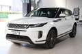 Land Rover Range Rover Evoque 2.0D I4 163 CV AWD Auto S- IVA ESPOSTA Bianco - thumbnail 1