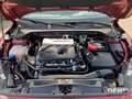 Ford Focus Turnier Active 1.5 EB Adap.LED Park- Komfort Rot - thumbnail 17