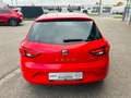 SEAT Leon Reference Rot - thumbnail 7