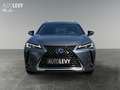 Lexus UX 250h Amazing Edition +Navi+Sitzheizung+ Šedá - thumbnail 9