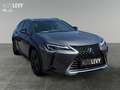 Lexus UX 250h Amazing Edition +Navi+Sitzheizung+ Šedá - thumbnail 8