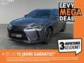 Lexus UX 250h Amazing Edition +Navi+Sitzheizung+ Šedá - thumbnail 1