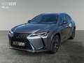 Lexus UX 250h Amazing Edition +Navi+Sitzheizung+ Šedá - thumbnail 2