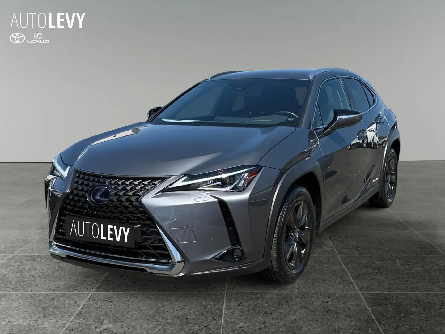 Lexus UX 250h Amazing Edition +Navi+Sitzheizung+ Šedá - 2