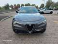 Alfa Romeo Stelvio Stelvio 2.2 210 CV Q4 valuto usato/scambio Gris - thumbnail 19
