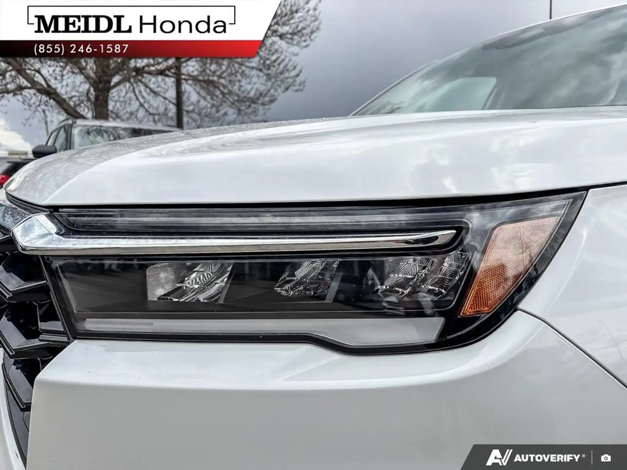 Honda Pilot fotografie Honda Pilot