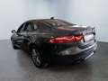Jaguar XF Portfolio 30 d SPUR KAMERA XENON PDC Grau - thumbnail 4