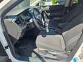 Volkswagen Polo Comfortline Frisch Vorgeführt  06/2026 Weiß - thumbnail 14