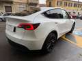 Tesla Model Y -- Standard Range / Standard Bianco - thumbnail 6