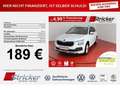 Skoda Kamiq Selection 1.0TSI DSG 189,-ohne Anzahlung Kamera S Weiß - thumbnail 1