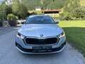 Skoda Octavia Ambition PDC MFL Tempom. Grau - thumbnail 2