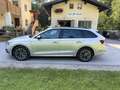 Skoda Octavia Ambition PDC MFL Tempom. Grau - thumbnail 8