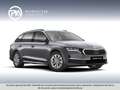 Skoda Octavia Selection TDI DSG Grau - thumbnail 1